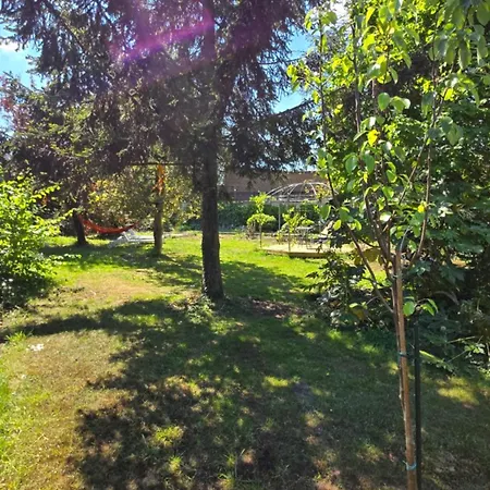 Osti
