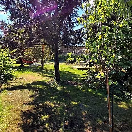 Osti 4*